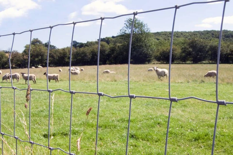 Field Fence