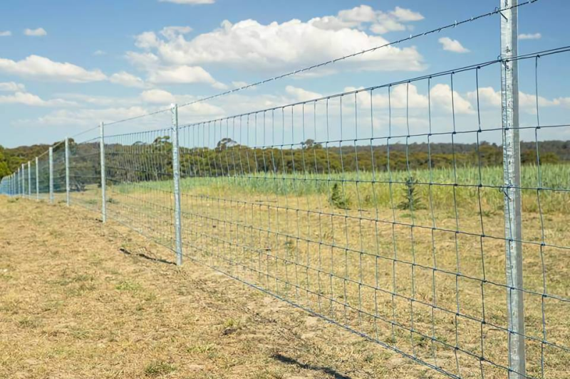 Field Fence