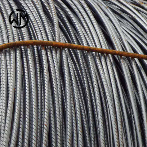 ASTM A510 Steel Wire Rod