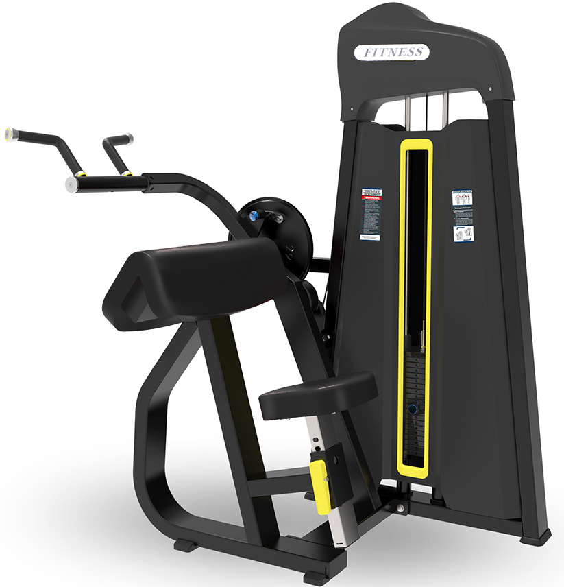 RZ-SP23 45 Degree Triceps Extension