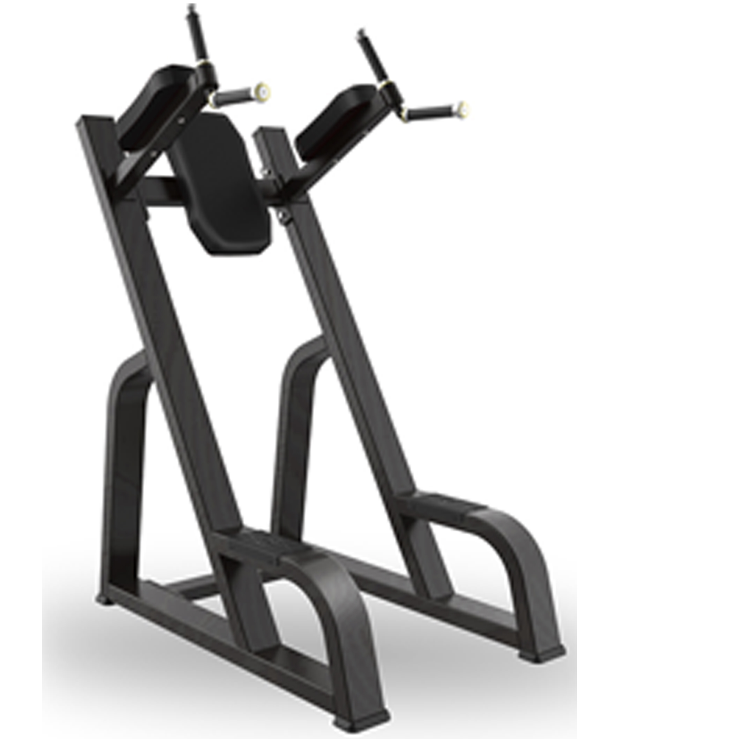 RZ-SP40 Dip/Knee Raise