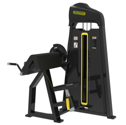 RZ-SP59 Bicep&Tricep Machine