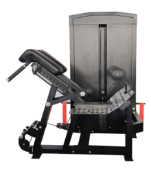 RZ-SR07 Back Extension