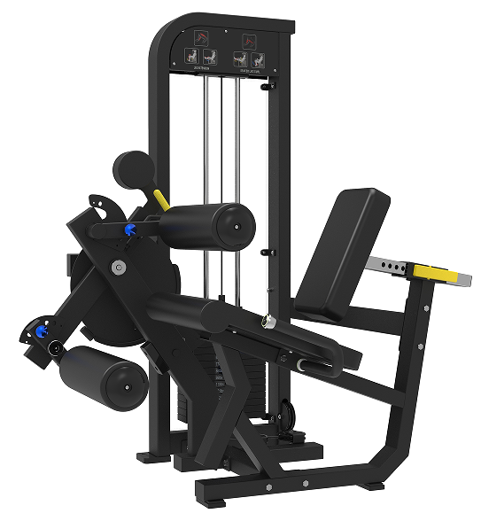 RZ-RM24Leg  Curl/Extension