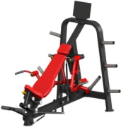 RZ-SN13 Incline Fly Machine