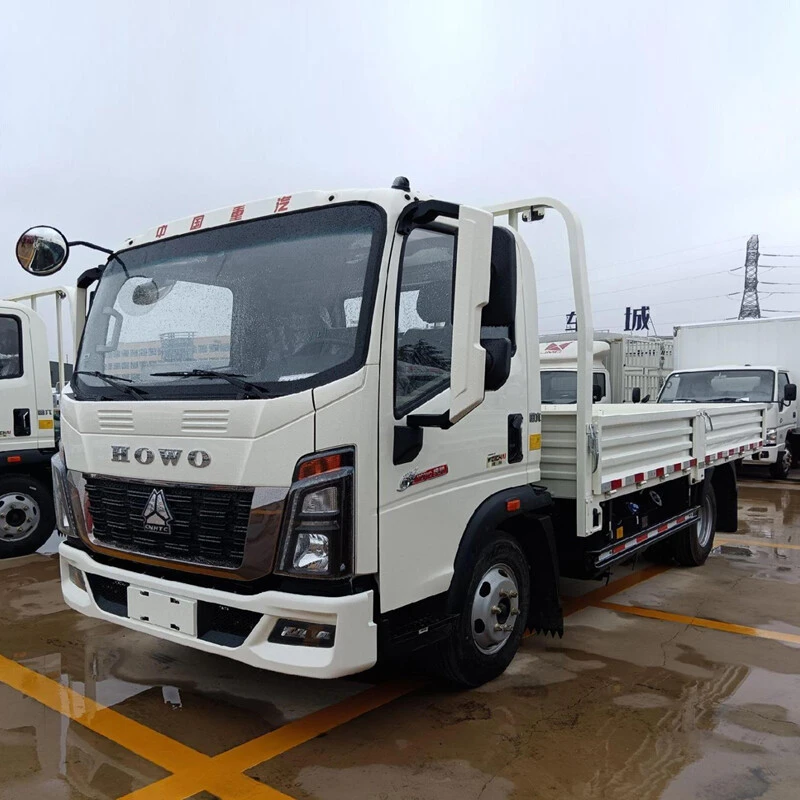 HOWO 4×2 7T Light Cargo Truck