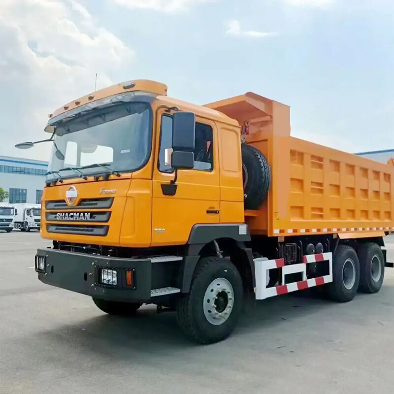 F3000 8x4 Dump Truck 12 Wheel Dump Truck