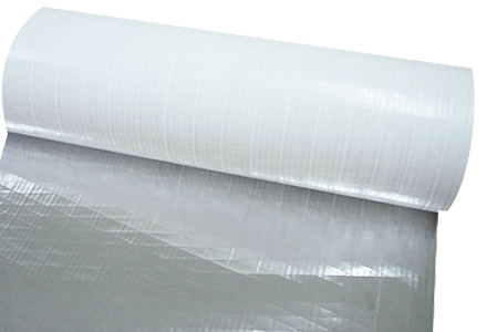 PP Flim Facing-2.png