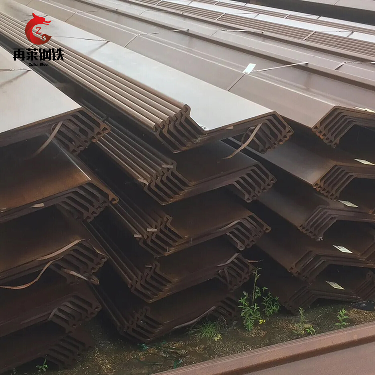 Z Shape Dimension Cold Rolled Steel Sheet Pile for Cofferdam