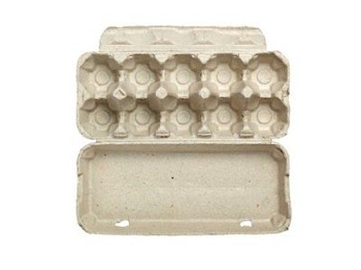 10-grid egg box made of paper pulp