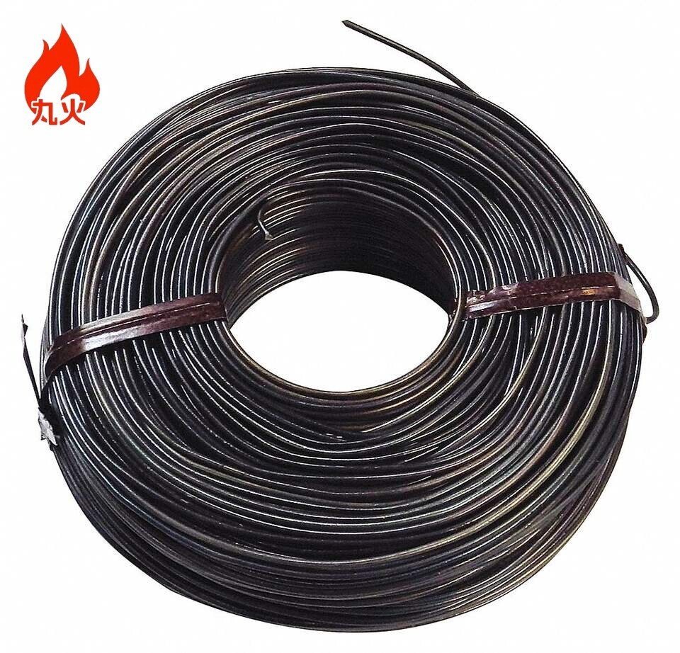 الحلزون المقلي