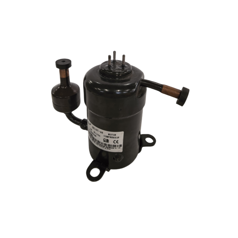 QX19T-48 Small R134A 12V 24V 48V DC Inverter Refrigeration Rotary Motor Compressor