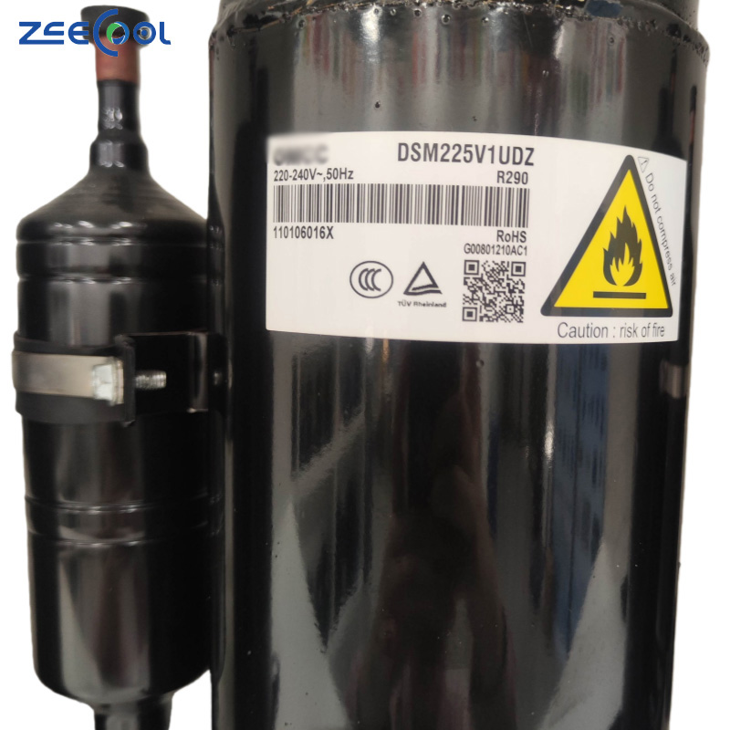 Factory Supply 220-240V 50Hz DSM225V1UDZ DSM230V1UDZ DSM245V1UDZ DSM250V1UDZ DSM265V1UDZ R290 Refrigeration Compressor for GMCC