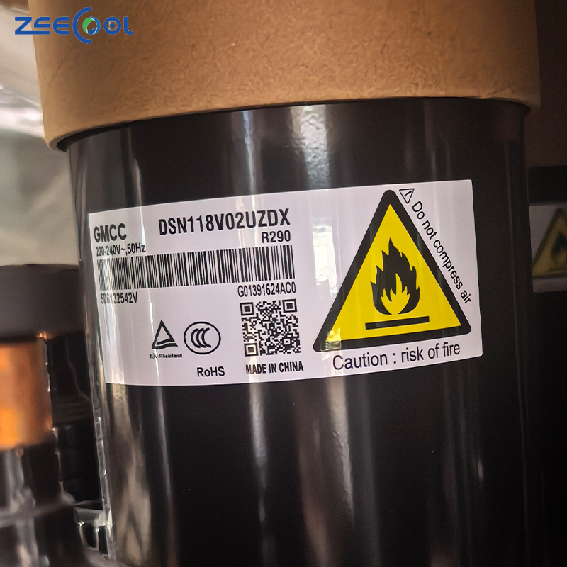 Factory Supply New Rotary Compressor DSN118V02UZDX Air Conditioner 220-240V 50Hz R290 Refrigeration Compressor for GM-CC