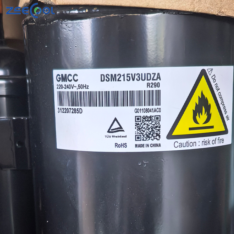 Factory Supply New Rotary Compressor DSN118V02UZDX Air Conditioner 220-240V 50Hz R290 Refrigeration Compressor for GM-CC