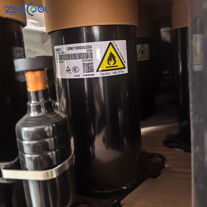 Factory Supply New Rotary Compressor DSN118V02UZDX Air Conditioner 220-240V 50Hz R290 Refrigeration Compressor for GM-CC