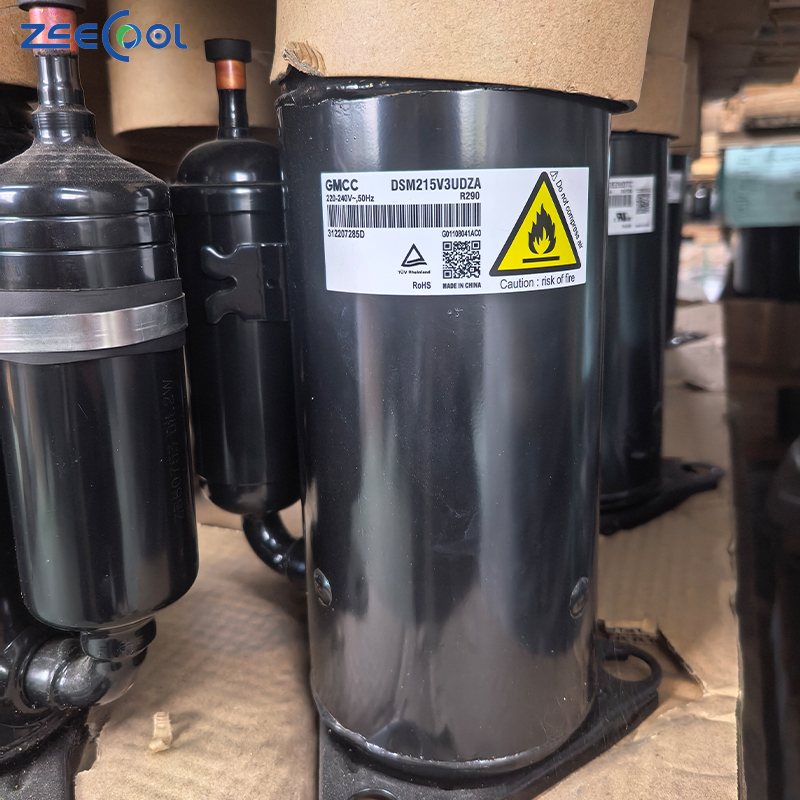 Factory Supply New Rotary Compressor DSN118V02UZDX Air Conditioner 220-240V 50Hz R290 Refrigeration Compressor for GM-CC