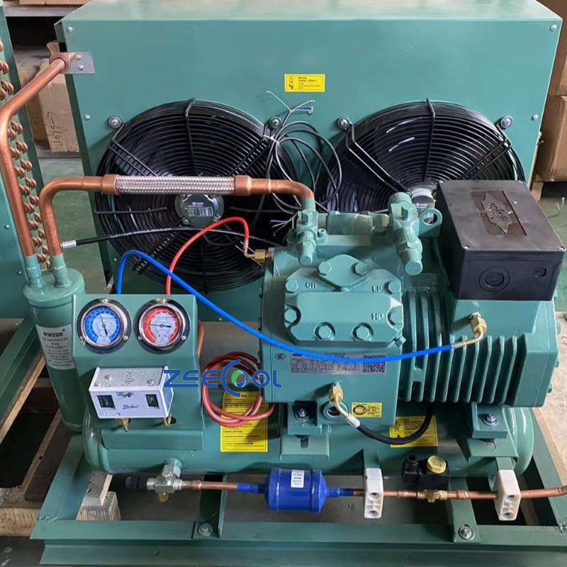 Quality Bitzer 4VCS-10.2Y 4VES-10Y-40D 10HP Semi-Hermetic Reciprocating Compressor for Cold Storage and Heat Exchange System
