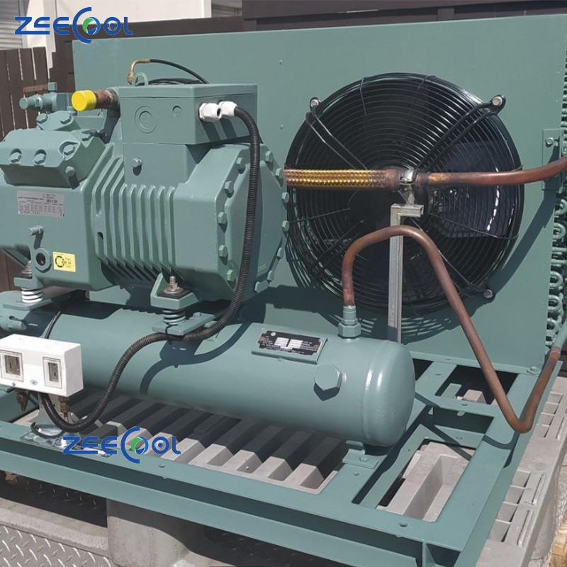 6 Bitzer Semi-Hermetic Piston Compressor 4FC-3.2Y-40S 4EC-4.2Y-40S 4DC-5.2Y-40S 4DES-5Y-20D Small Commercial Cold Storage Refrigeration Unit
