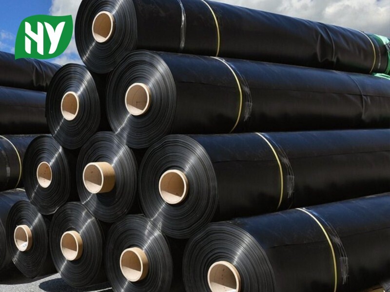 HDPE Geomembrane