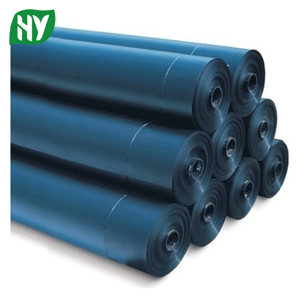 HDPE Geomembrane