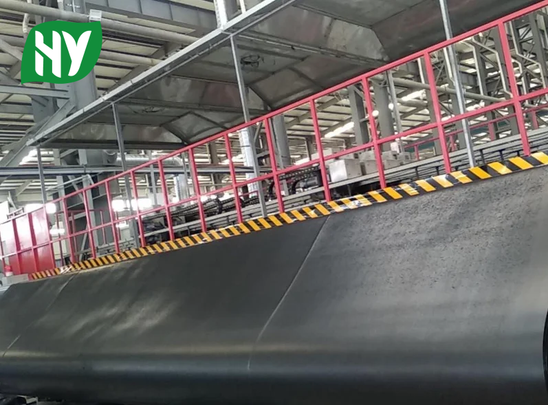 HDPE textured Geomembrane