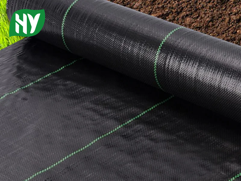 PP Woven Geotextile