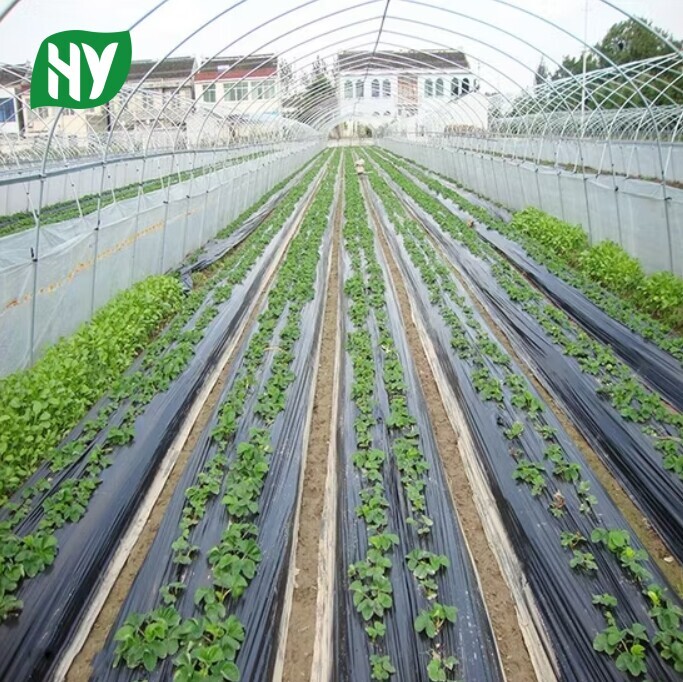 Agricultural silver black weed control film is degradable