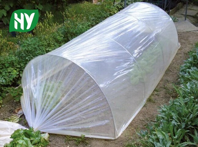 Greenhouse plastic film