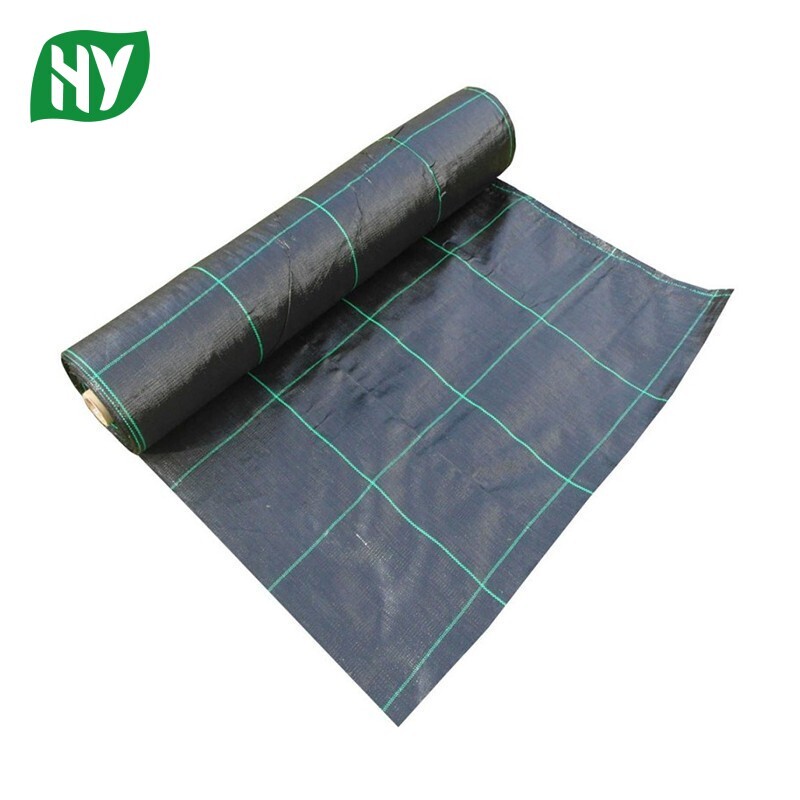 Anti Grass Mesh