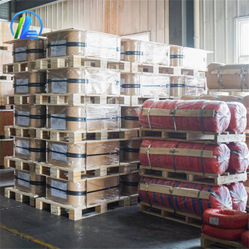 Hot Roll/Cold Drawn Galvanized Steel Wire