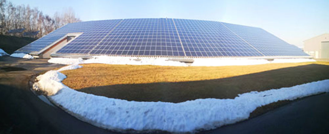 How solar cells work