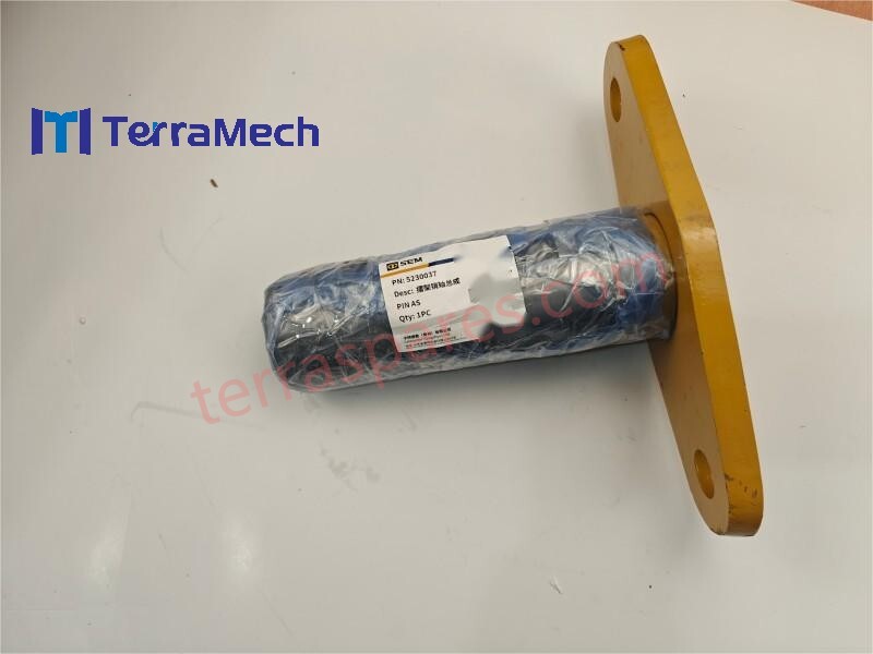 Z520030791 PIN SEM SPARE PARTS: Installation Tips