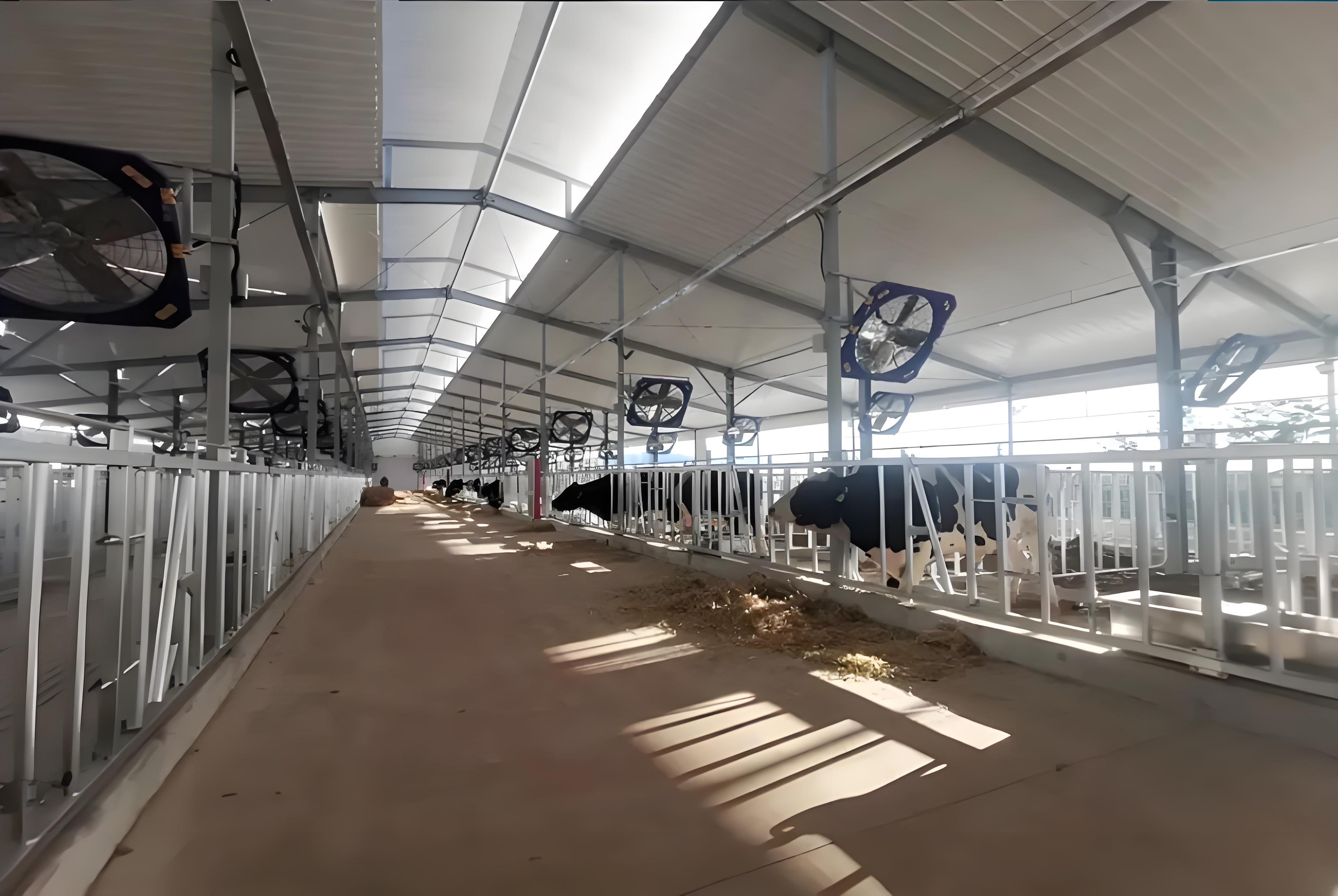 High Quality Steel StructurePoultry Farm Building