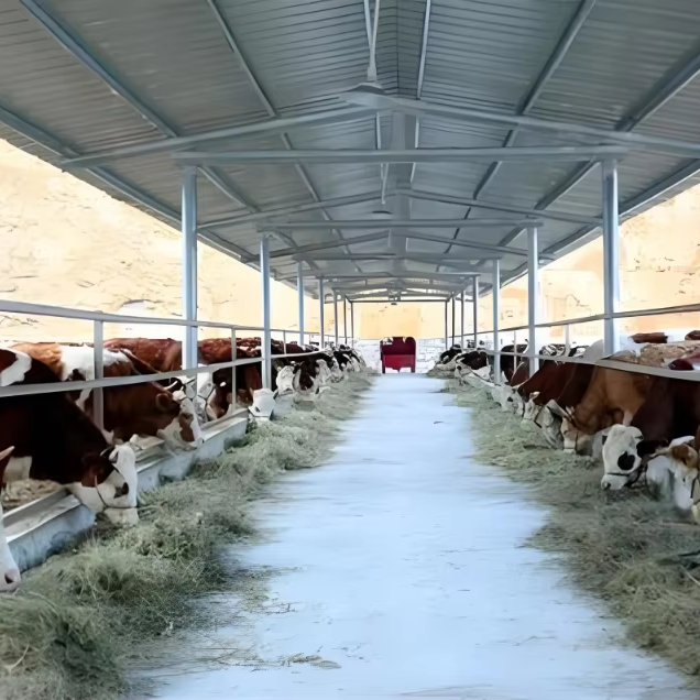 Prefab Steel Livestock Barns for Cattle, Sheep & Pigs-Strong, Ventilated & Easy to Assemble