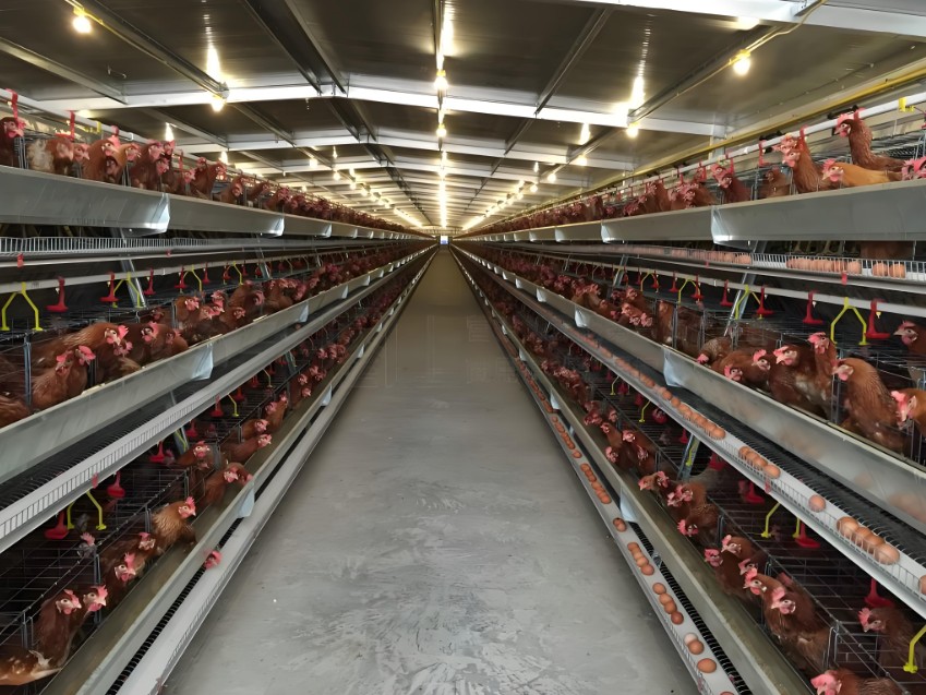 1757921770826117543689699330.png 1757921770826117543689699330.png