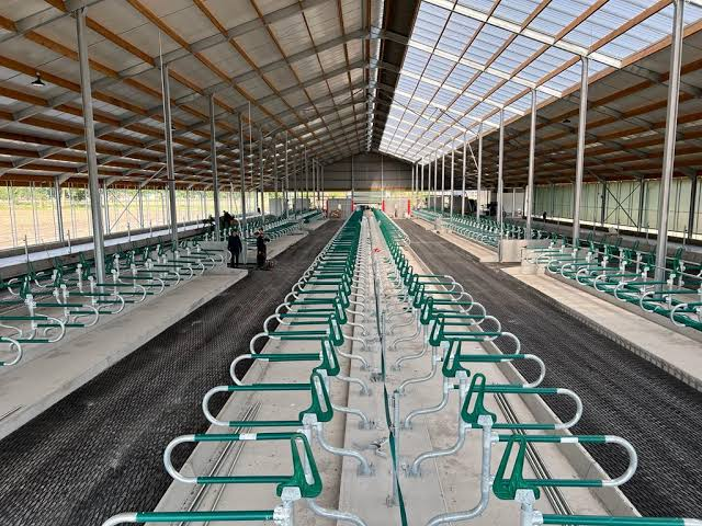 Prefab Steel Livestock Barns for Cattle, Sheep & Pigs-Strong, Ventilated & Easy to Assemble