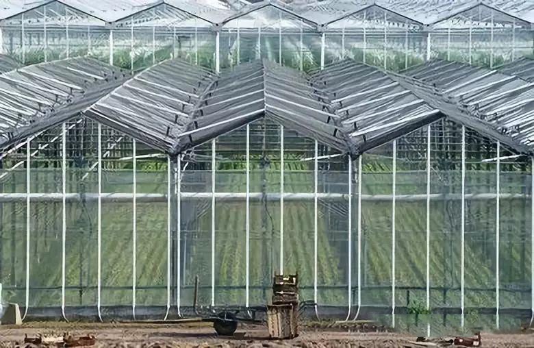 Prefabricated/Custom Steel Structure Buildings for Agriculture