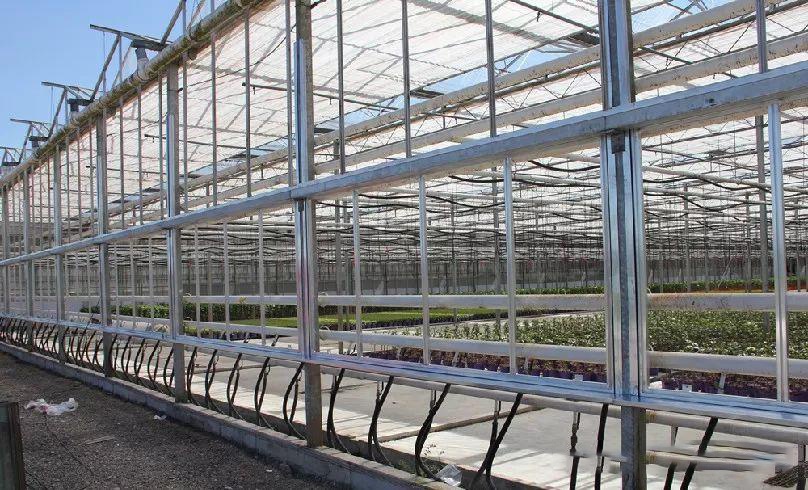 Prefabricated/Custom Steel Structure Buildings for Agriculture