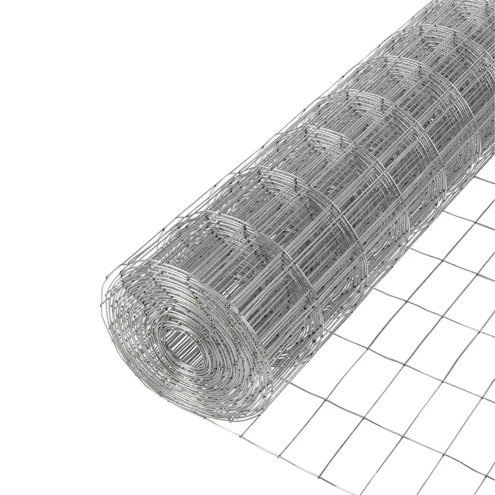 Galvanized Welded Wire Mesh
