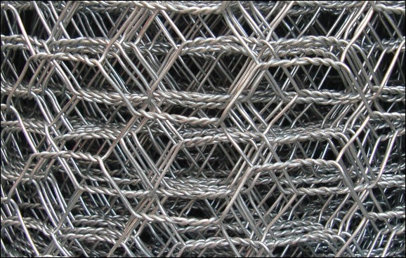 Galvanized Wire Chicken Mesh
