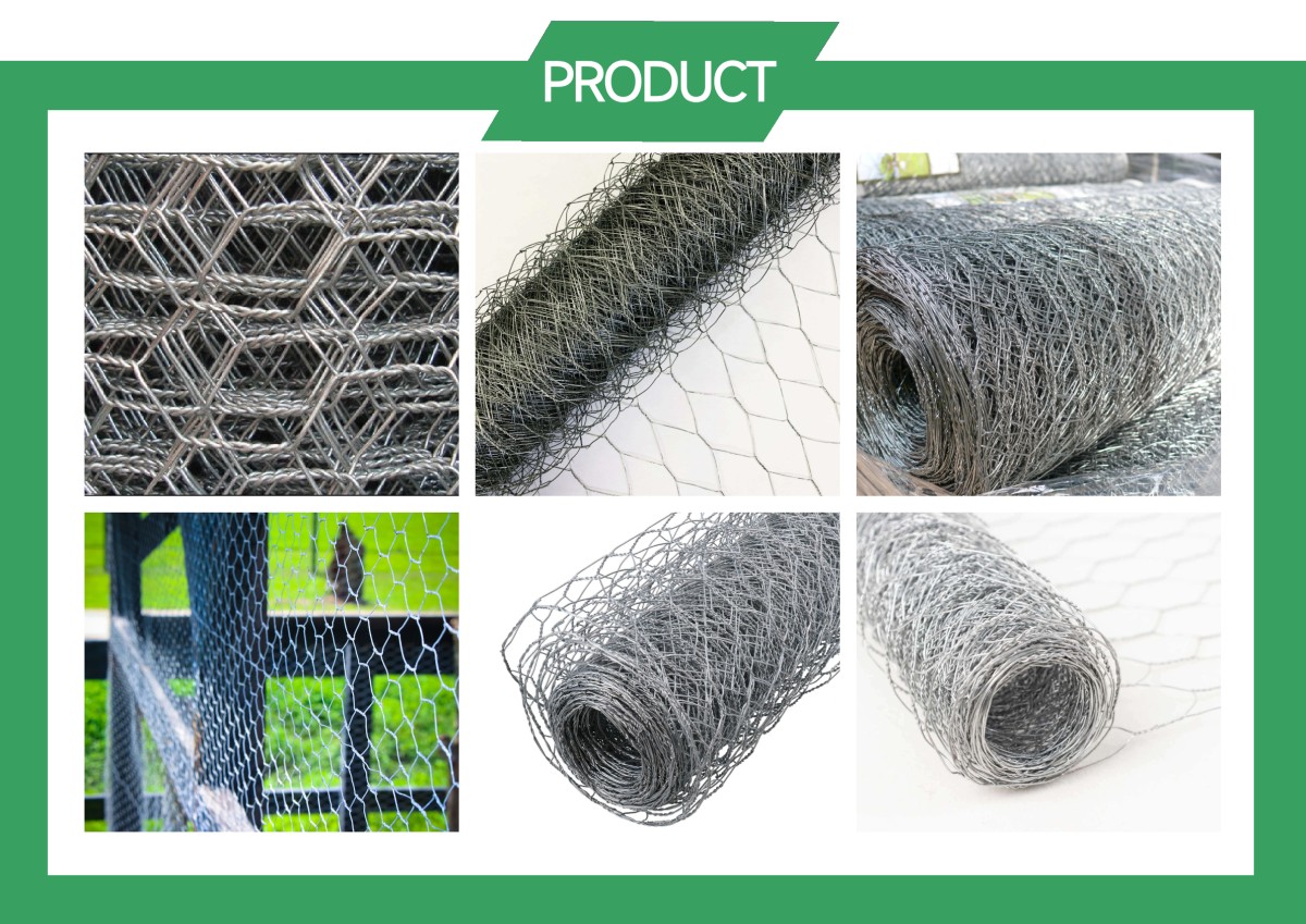 Galvanized Wire Chicken Mesh