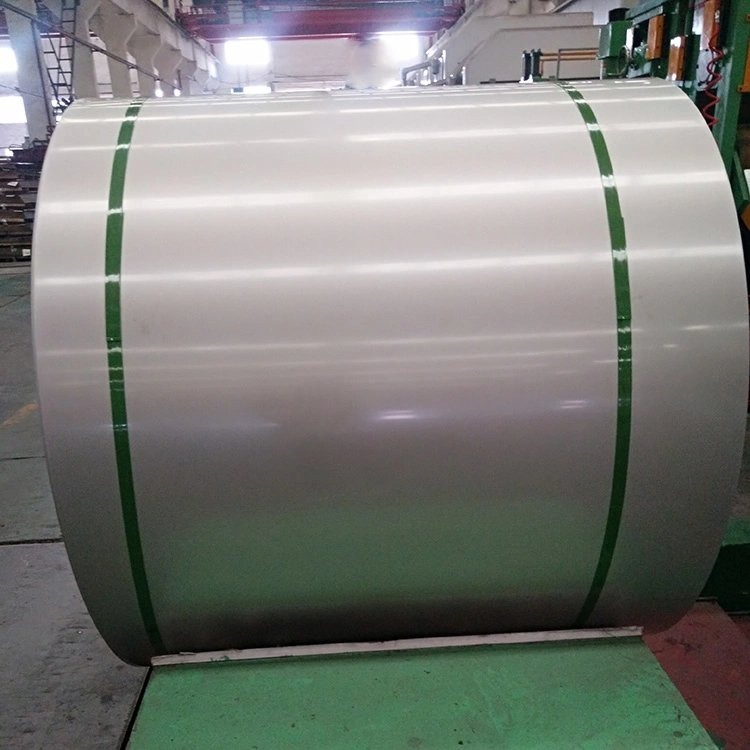 310S Stainless steel coil