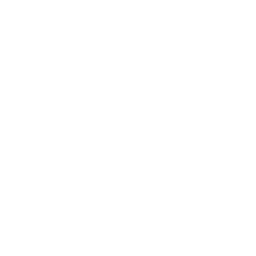 4.png