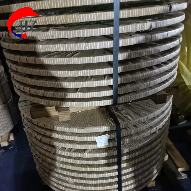 Stainless Steel Belt