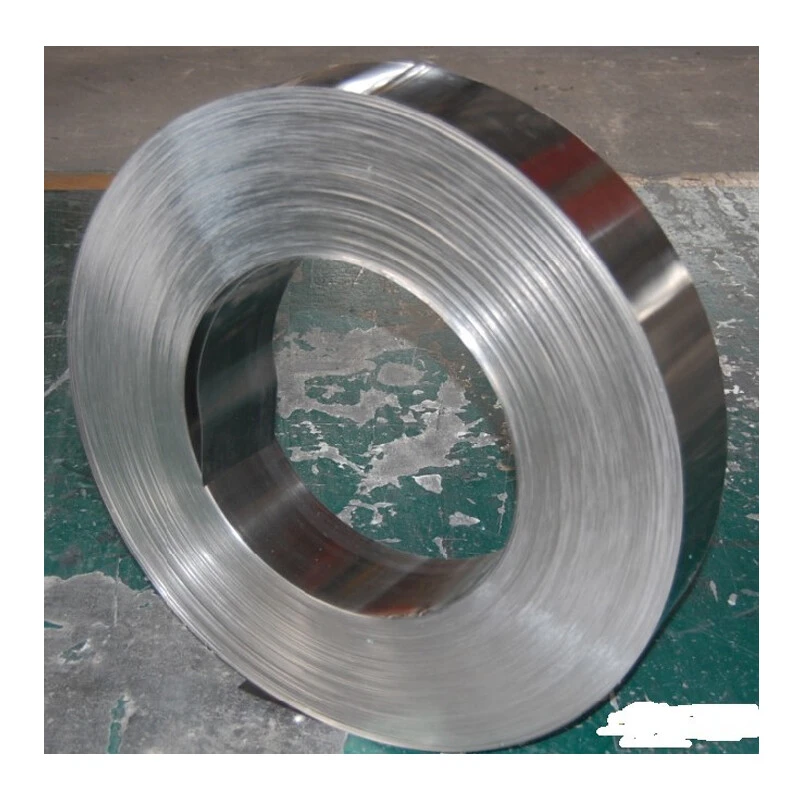 Stainless Steel Strip