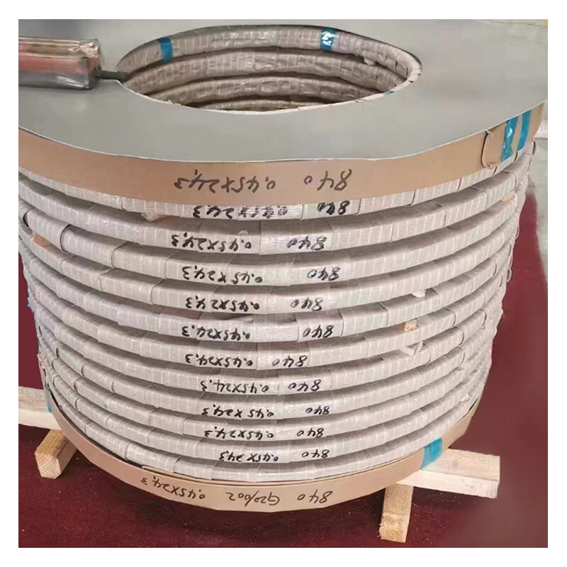 Stainless Steel Strip