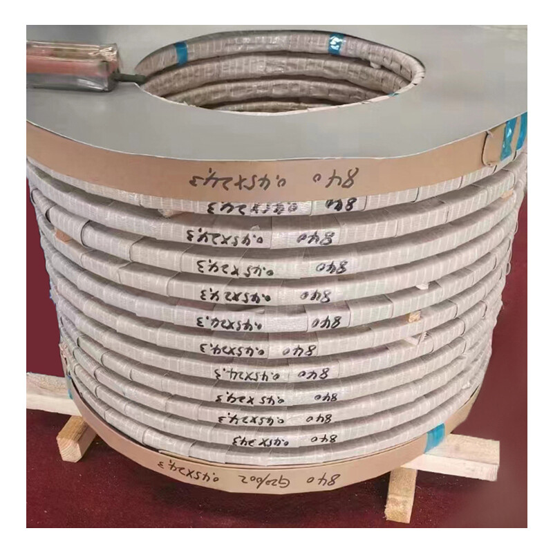 Stainless Steel Strip