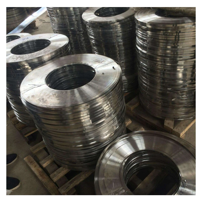 Stainless Steel Strip