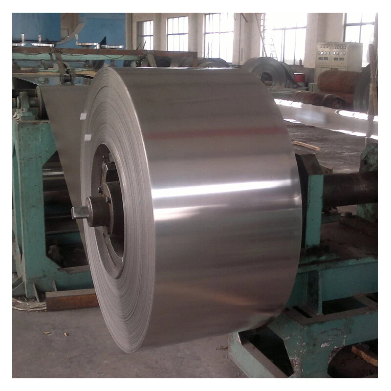 Stainless Steel Strip